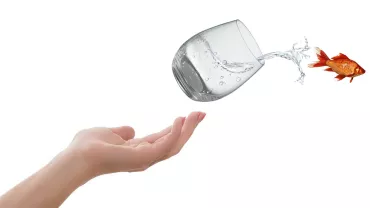 Mano abierta con vaso vertiendo agua y pez fuera de él.