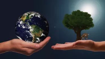Manos sosteniendo la Tierra y un árbol pequeño con ciervo.