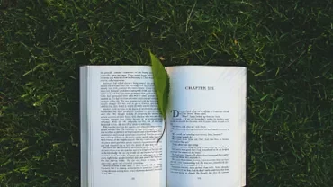 Libro abierto sobre el césped con una hoja de árbol en el centro.
