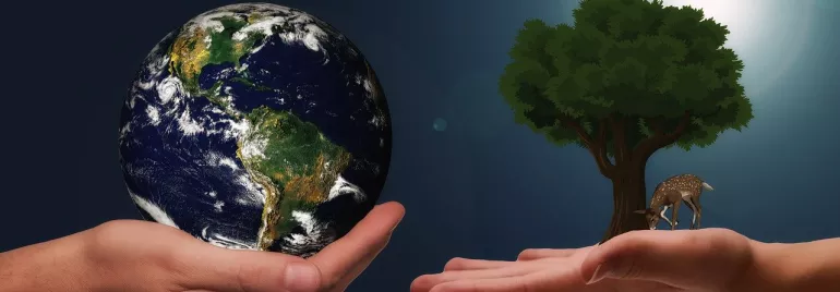 Manos sosteniendo la Tierra y un árbol pequeño con ciervo.
