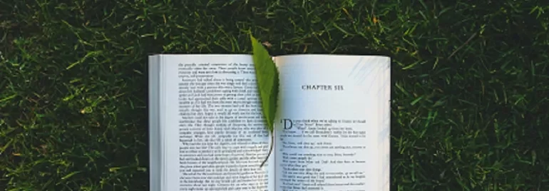 Libro abierto sobre el césped con una hoja de árbol en el centro.